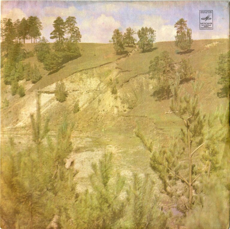 D07651